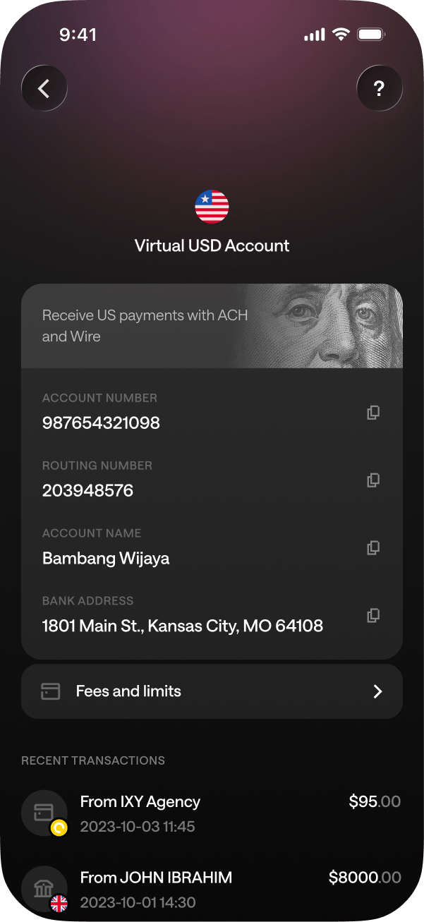 Virtual USD Account screen